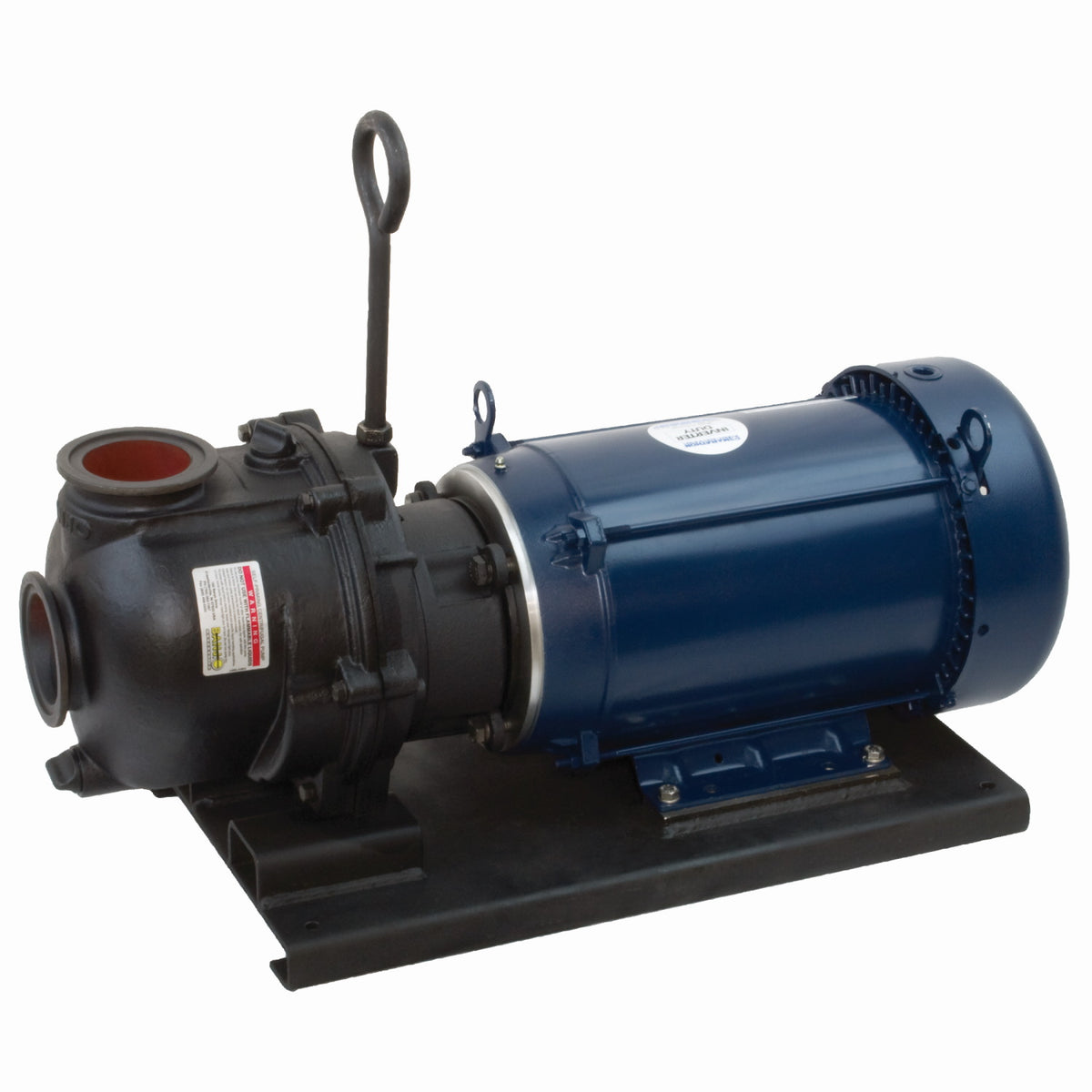 3" CI Manifold WS Pump w/ 10 HP Single Phase Electric Motor