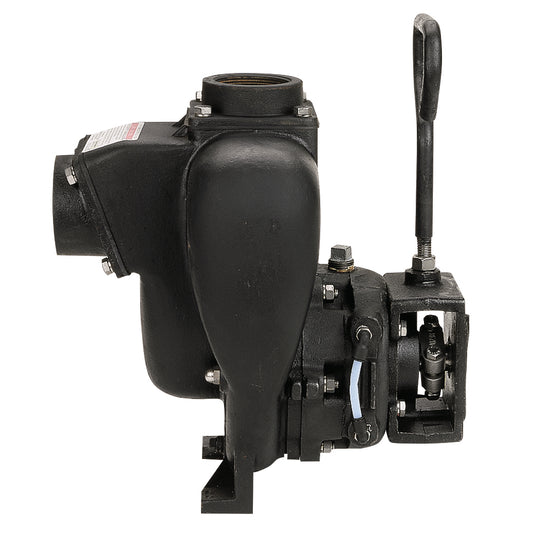 2" CI Pump Only FKM
