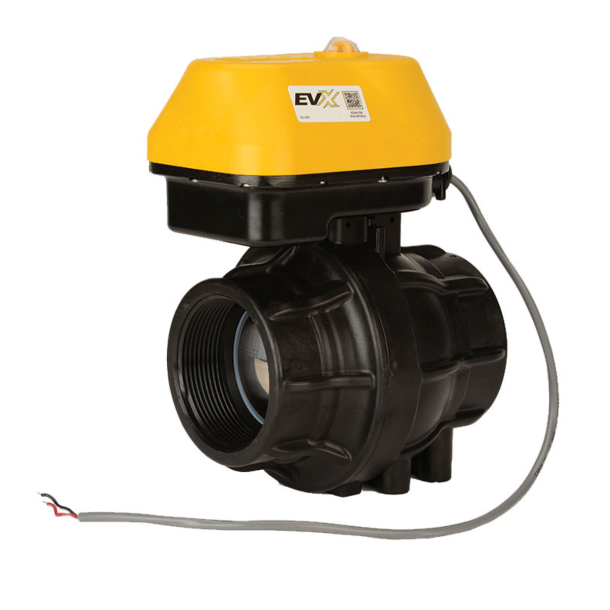 2" EVX NPT FP Bottom Load Bolted Valve Only