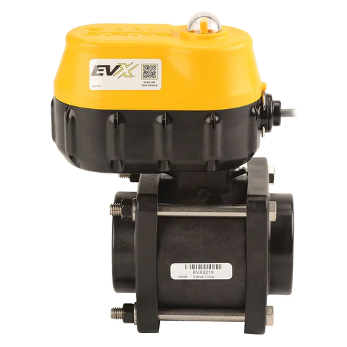 2" EVX NPT SP Bolted 3S 4W REG