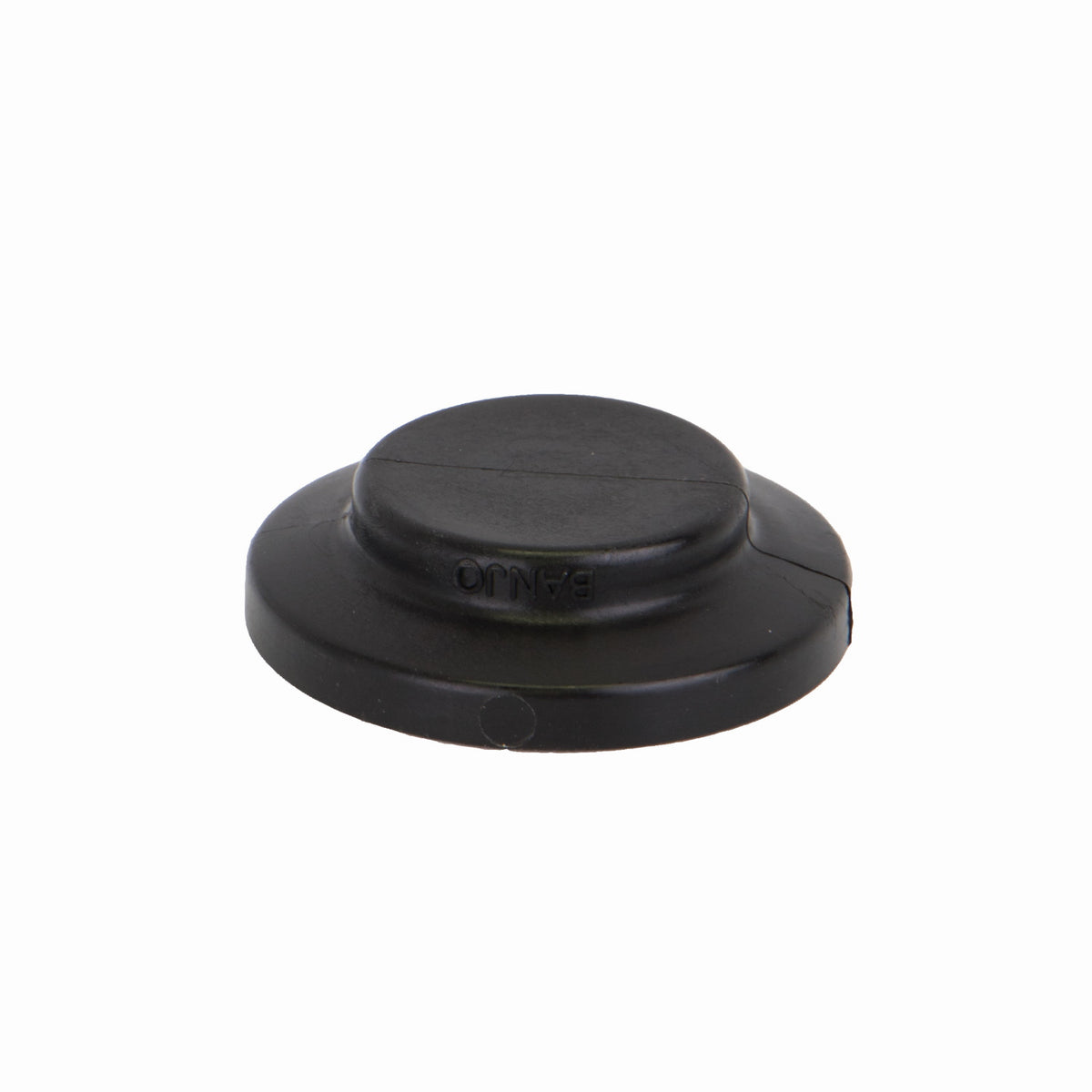 PP Plug 1" FLG