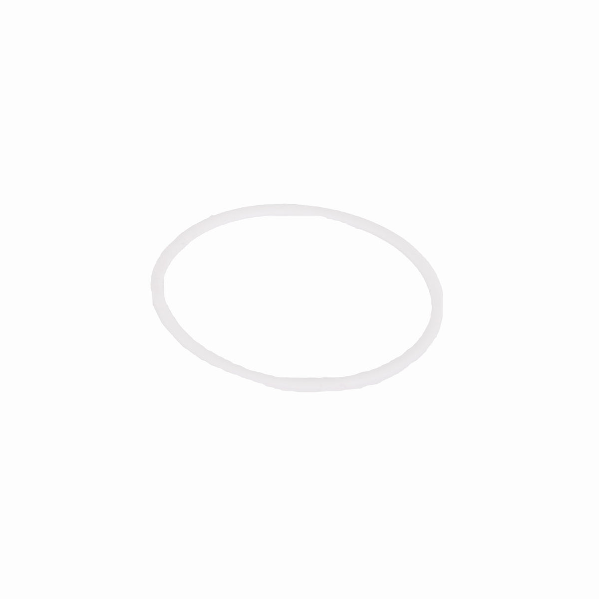 Body Gasket
